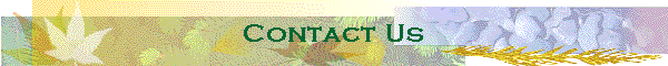 Contact Us